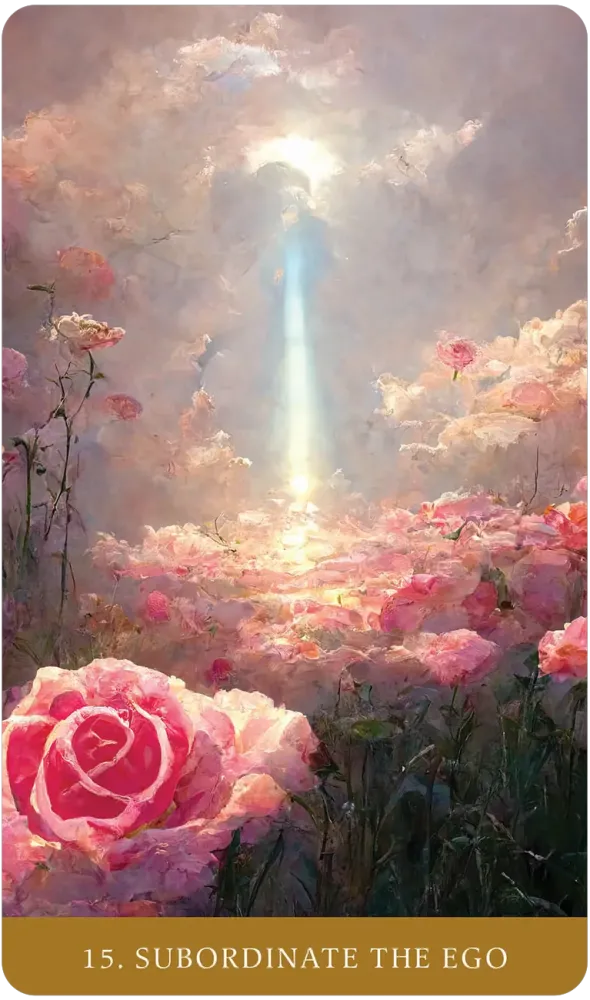 The Path of Light Oracle Cards